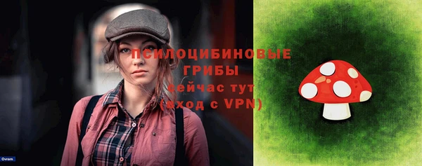 PSILOCYBIN Лихославль