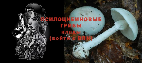 Альфа ПВП Лабытнанги